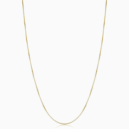 Bodega Collar Caja | Oro
